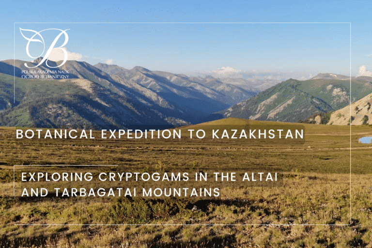Wyprawa botaniczna do&nbsp;Kazachstanu – badanie zbiorowisk roślin zarodnikowych w&nbsp;górach Ałtaj i&nbsp;Tarbagataj  