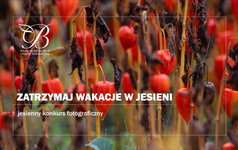 Keep the vacations in autumn - autumn photo contest