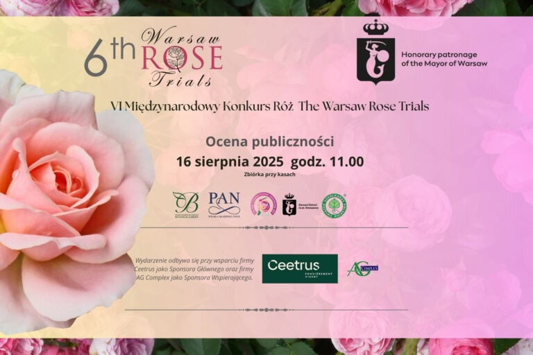 6th International Rose Competition - audience evaluation