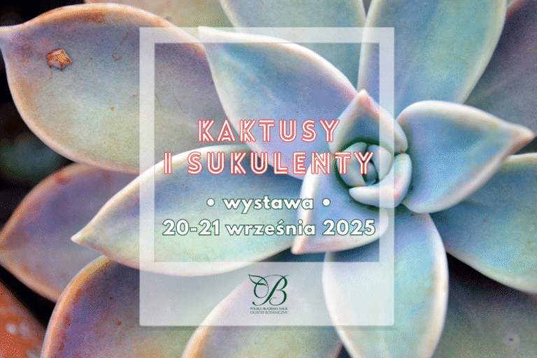 Cacti and succulents - exhibition