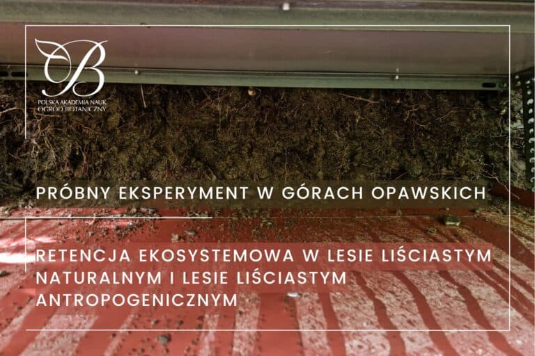 Próbny eksperyment w&nbsp;Górach Opawskich – retencja ekosystemowa w&nbsp;lesie liściastym naturalnym i&nbsp;lesie liściastym antropogenicznym