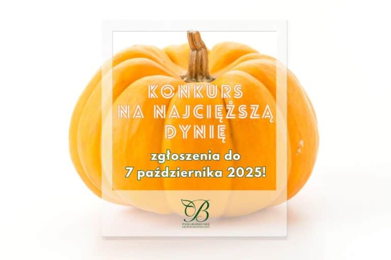 Competition for the heaviest pumpkin 2025!