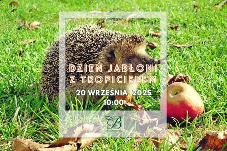 "Apple Day" with the tracker