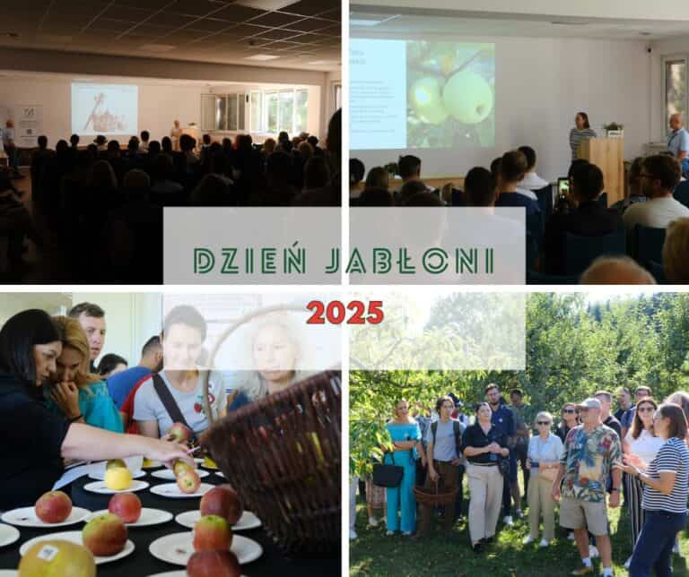 Apple Day 2025