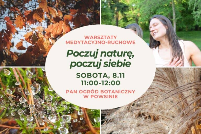 Poczuj naturę, poczuj siebie • warsztaty medytacyjno-ruchowe