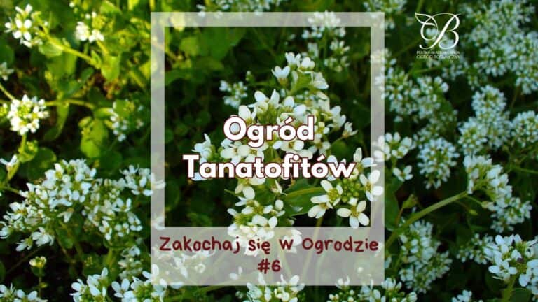 Zakochaj się w Ogrodzie #6 ✿ Ogród Tanatofitów ✿ prof. Arkadiusz Nowak