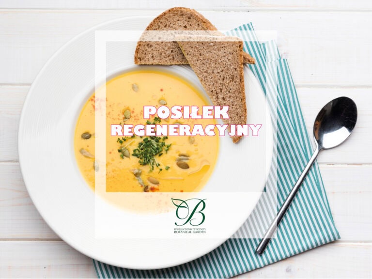 Ogłoszenie z dnia 20 października 2025 r.