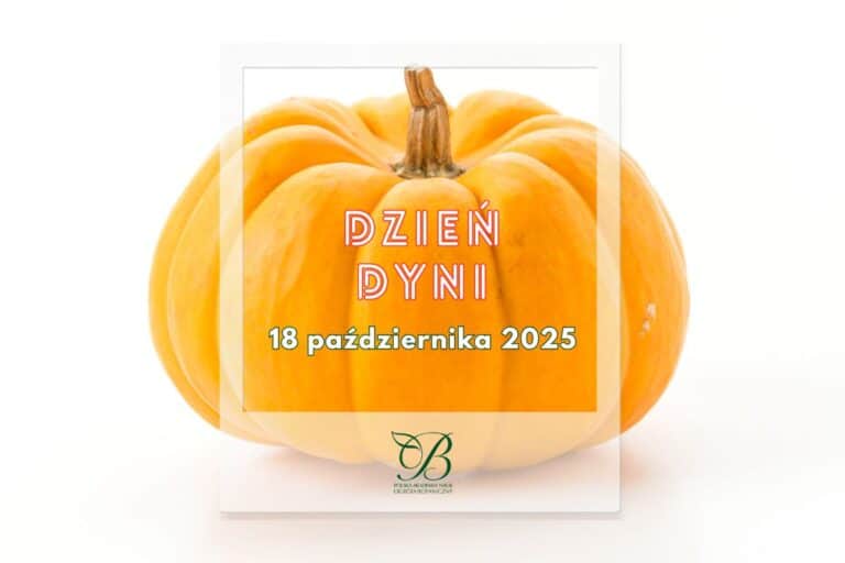 Pumpkin Day 2025
