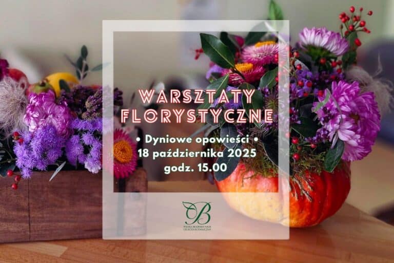 Pumpkin stories - florist workshop