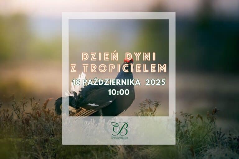 Pumpkin Day with the tracker