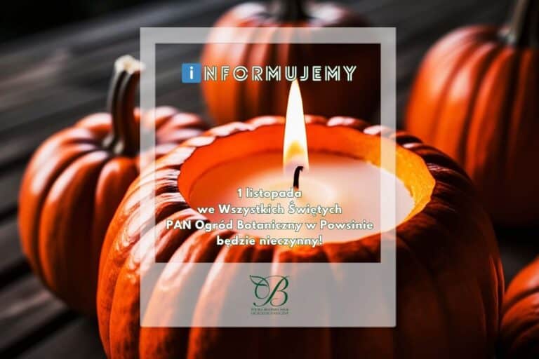 Informujemy • 1 listopada Ogród nieczynny