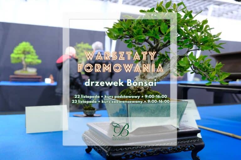 Zaprasza na&nbsp;wyjątkowe warsztaty formowania drzewek Bonsai!