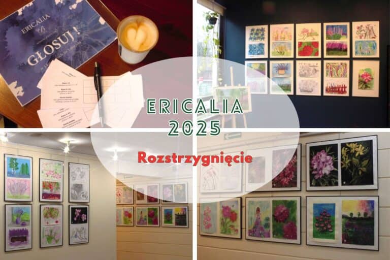 Konkurs plastyczny „Ericalia 2025” rozstrzygnięty!