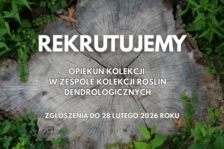 Oferta pracy • poszukujemy Opiekuna w&nbsp;Zespole Kolekcji Roślin Dendrologicznych