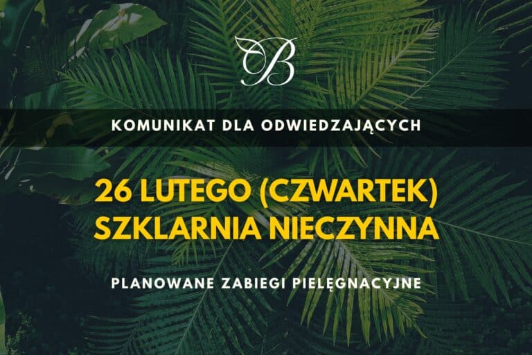 26 lutego (czwartek) szklarnia nieczynna