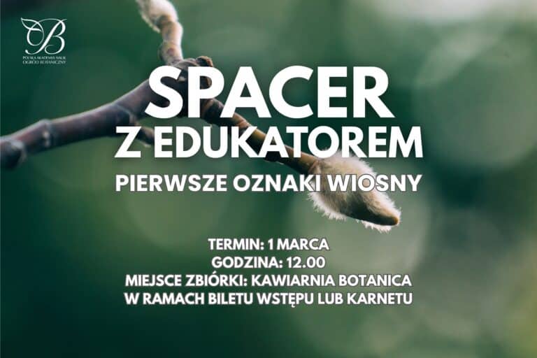 Pierwsze oznaki wiosny – spacer z&nbsp;edukatorem