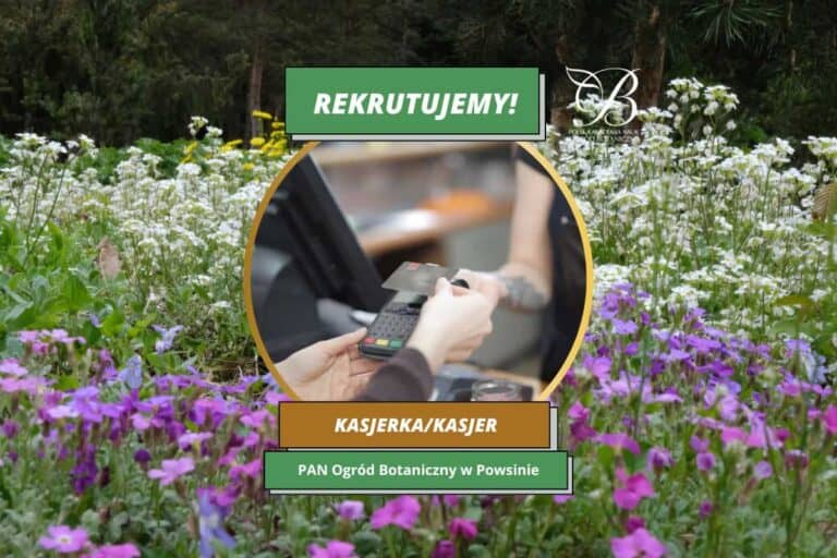 Kasjerka/Kasjer