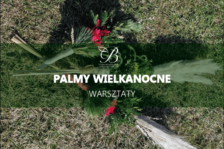 Palmy Wielkanocne – warsztaty