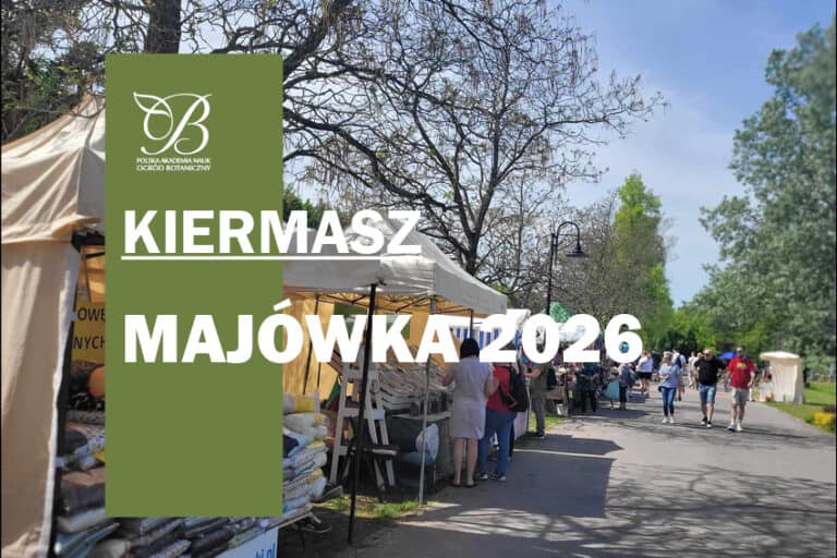 Kiermasz – Majówka 2026