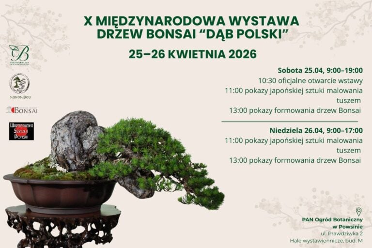 X&nbsp;Międzynarodowa Wystawa Drzew Bonsai „Dąb Polski”