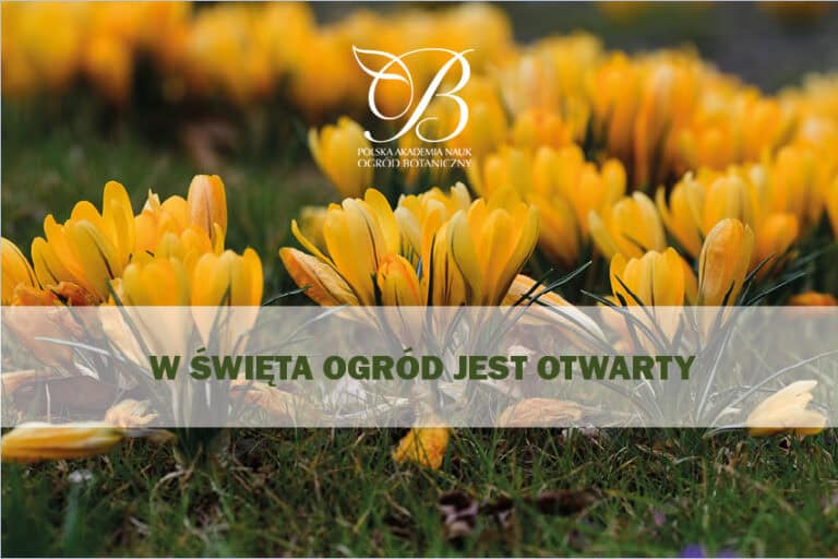 Wielkanoc w&nbsp;Ogrodzie