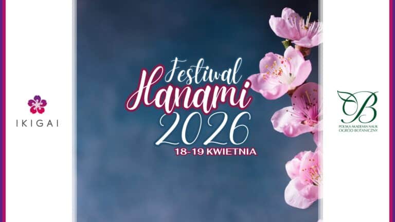 Festiwal Hanami