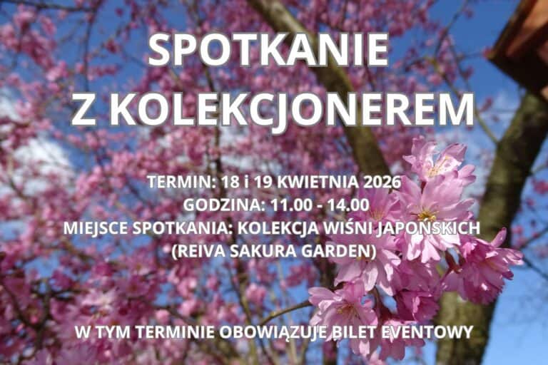 Spotkanie z kolekcjonerem – Kolekcja wiśni japońskich (Sakura Reiva Garden)