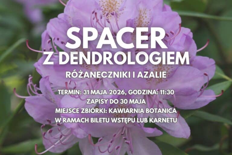Różaneczniki i&nbsp;azalie – spacer z&nbsp;dendrologiem