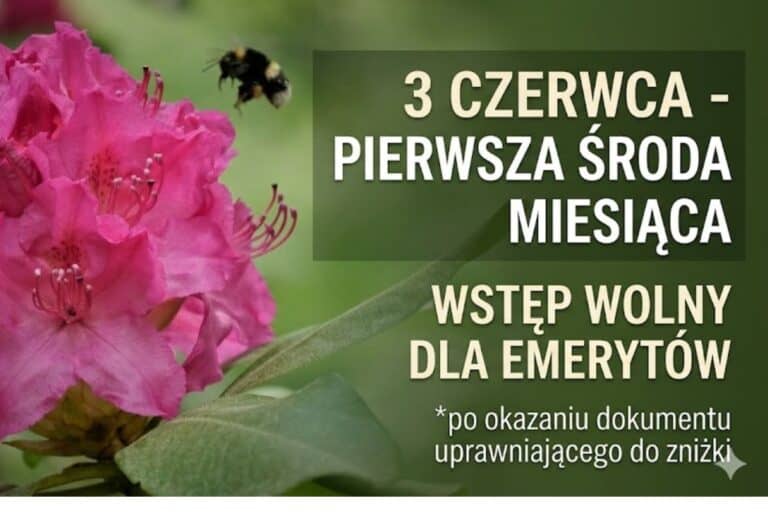 Środa dla Seniora – 3 czerwca 2026