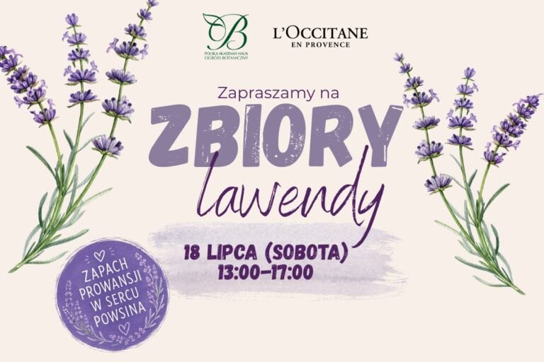 L’Occitane’s Lavender Harvest – July 18