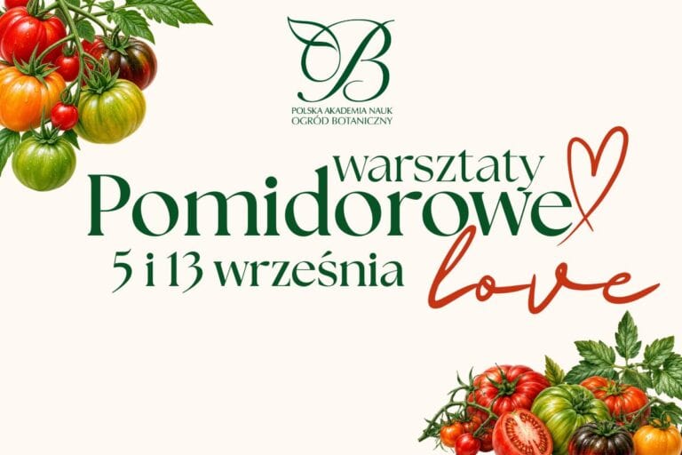 Tomato Day „Tomato Love” – September 5 and 13