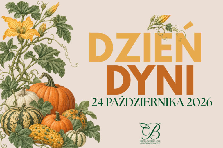 Pumpkin Day – October 24